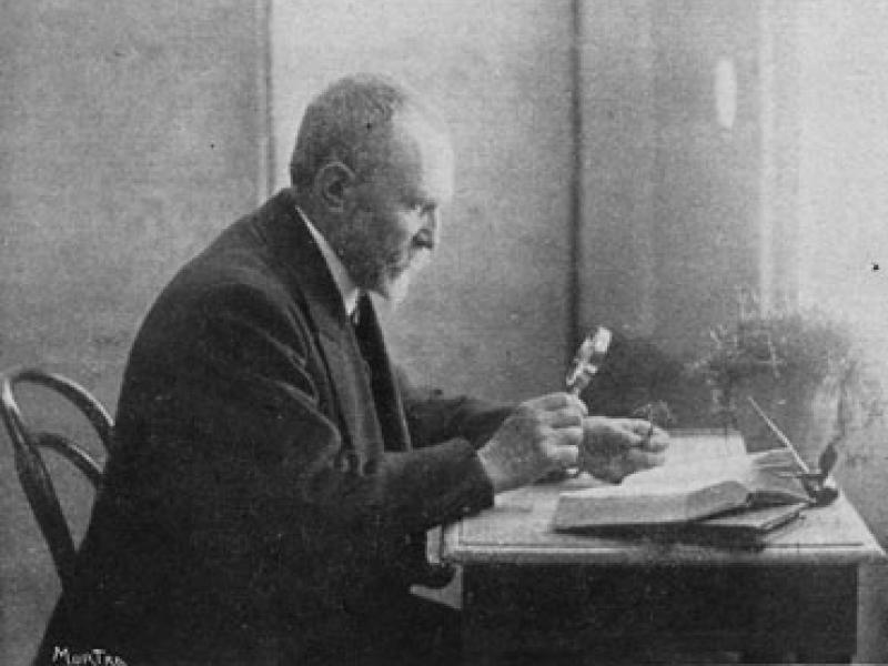 Vicent Guillén Marco (1853-1913) was a doctor in the city of Valencia interested in botany. He was a friend of Rodrigo Pertegàs, with whom he went on many excursions to collect minerals and gather plants (Historia de la medicina).